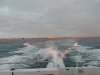 P1250584_1