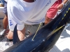 SDC11139.JPG
